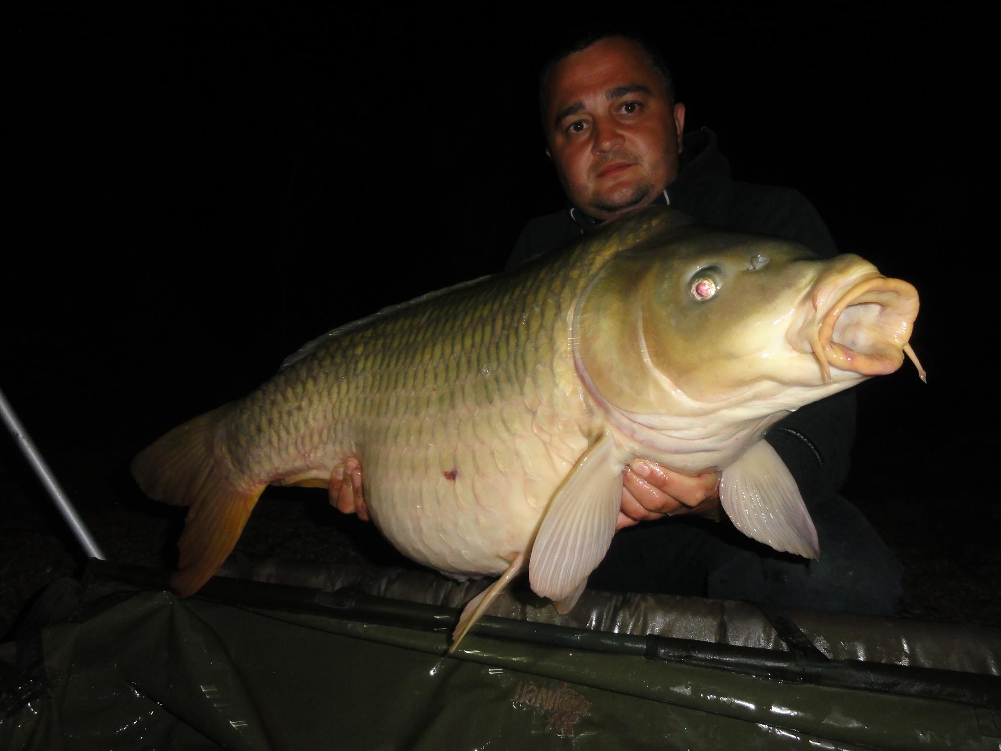 Iunie 2013 - Siclau - iunie 2013